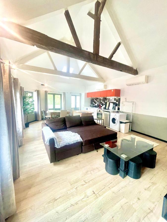 Appartements De Charme Dadou Mons Belgium Exterior foto
